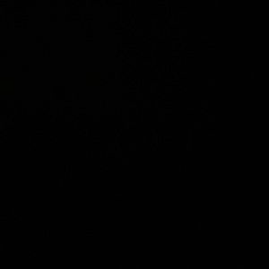 Meet your Posher, Miles